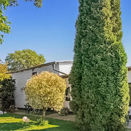 Korswandtusedom * 科斯旺德特